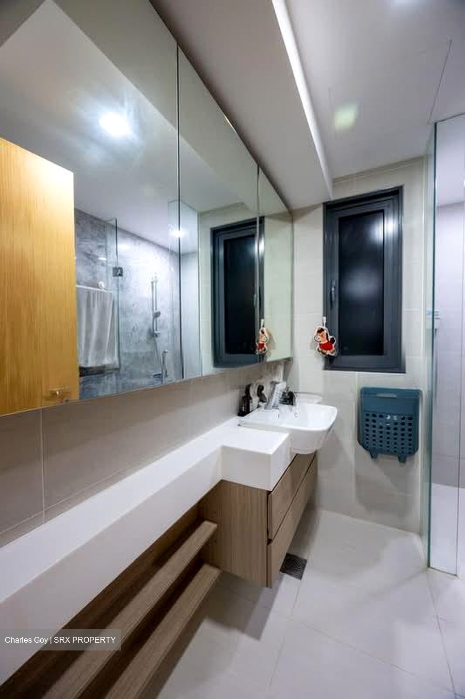 The Lakefront Residences (D22), Condominium #556680281